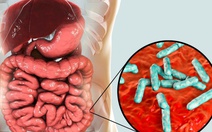 Phát hiện vi khuẩn đường ruột có khả năng ‘sản xuất’ dưỡng chất thiết yếu