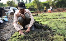 Thay áo mới đón Tết cho các 'khu đất vàng' ở TP.HCM