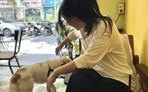 Mức phạt tăng với người nuôi thả chó mèo trong chung cư, vì sao tình trạng này vẫn chưa giảm?