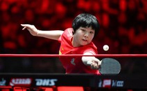 Bóng bàn Trung Quốc lung lay nghiêm trọng