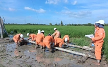 Đầu tư xây dựng lưới điện năm 2025: EVNSPC về đích vượt chỉ tiêu