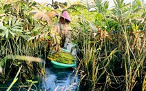 Xã Bình Mỹ, TP.HCM gắn phát triển rau đặc sản với du lịch cộng đồng