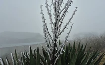 Cận cảnh băng giá ở đỉnh Mẫu Sơn khi nhiệt độ còn -0,1 độ C