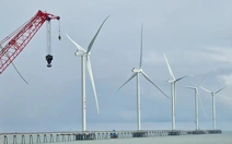 Giao hàng chục ngàn héc ta mặt biển cho hai tập đoàn EVN, PVN khảo sát điện gió