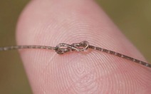 Trung Quốc làm chip co giãn như sợi chỉ, hứa hẹn làm thế giới choáng ngợp