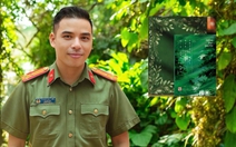 Gió vẫn thổi qua rừng nhiệt đới