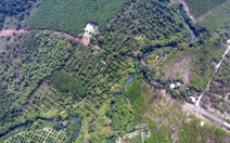 Đồng Nai làm 13km đường trên cao, xuyên rừng Mã Đà