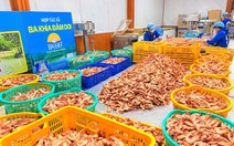 Đặc sản OCOP lên ngôi dịp Tết