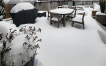 Người Việt ở New York nghĩ về Tết quê nhà giữa bão tuyết lịch sử