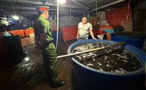 Lời khai rùng mình về 'công thức' ngâm 3.000 tấn ốc vào 500 tấn hóa chất từ chợ Kim Biên