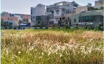 148 khu đất ở TP.HCM có thể làm nhà ở xã hội, tái định cư