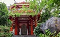 Đình chỉ công tác giảng viên dùng bằng giả, bị đục tên khỏi bia tiến sĩ