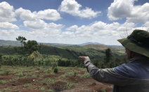 6 cựu chiến binh bị truy tố 'hủy hoại rừng' tiếp tục kêu oan tại phiên tòa sơ thẩm lần 3