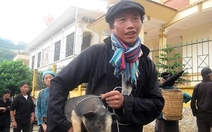 Săn đặc sản ăn chơi ngày Tết - Kỳ 3: Ngày Tết thưởng thức lợn cắp nách, cá sông Đà...