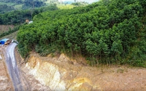 Sau liên tiếp các vụ sạt lở ở miền núi, Đà Nẵng tính chuyển diện tích rừng keo qua rừng gỗ lớn