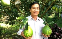 Nhà vườn miền Tây chuẩn bị trái cây tạo hình, in chữ bán Tết