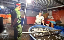 Vụ 3.000 tấn thịt ốc tẩm hóa chất: Vì sao cơ sở tồn tại trong nhiều năm?