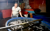 Vụ 3.000 tấn thịt ốc tẩm hóa chất: Vì sao cơ sở tồn tại trong nhiều năm?