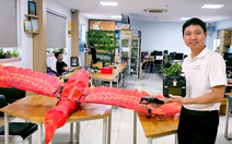 Sinh viên làm rồng phượng bay trong đêm giao thừa ở Đồng Nai