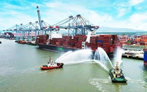 Chấp thuận chủ trương đầu tư cảng Cái Mép Hạ hơn 50.000 tỉ đồng