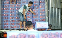 Nông sản khó thông quan khi triển khai quy định mới: Bộ Y tế nói gì?