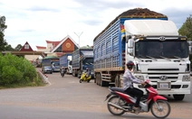 Tây Ninh tháo gỡ cho hàng chục ngàn tấn nông sản ùn ứ do vướng Nghị định 46