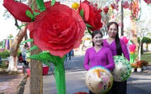 Về Sa Đéc dự Festival hoa kiểng lần 2 năm 2025