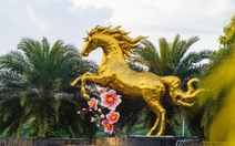 'Cha đẻ hoa hậu mèo Quảng Trị' làm linh vật ngựa ở sân bay Đà Nẵng