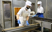 Doanh nghiệp Nhật Bản tìm cách giữ chân lao động nước ngoài