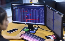 VN-Index tăng 3,91 điểm phiên đầu năm, nhóm Vingroup ngập sắc xanh tím