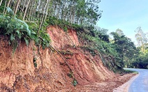 Rừng keo - cây xóa đói giảm nghèo và nỗi lo sạt lở?