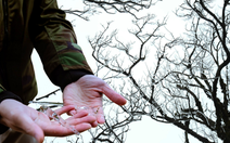 Xuất hiện băng giá trên đỉnh Phja Oắc, Cao Bằng