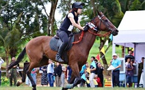 Tin tức sáng 7-1: Đề xuất quy định mới về kinh doanh đặt cược đua ngựa, đua chó, bóng đá quốc tế