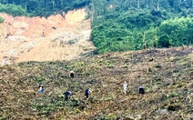 Rừng keo - cây xóa đói giảm nghèo và nỗi lo sạt lở? - Kỳ 2: Hiệu quả kinh tế cây keo tới đâu?