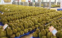 Trung Quốc tăng nhập sầu riêng Việt Nam, ngôi vương của Thái Lan bị đe dọa