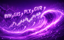 Vì sao loạt cổ phiếu ông lớn như Bảo Việt, Petrolimex, GAS,... 'nổi sóng' kịch trần?