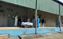 Danh tính 9 người bị khởi tố trong vụ hơn 130 tấn thịt heo nhiễm bệnh liên quan Đồ hộp Hạ Long