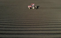 Đẹp hút mắt, mùa phơi cà phê 'phủ nâu' Tây Nguyên đại ngàn