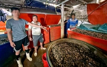 Ốc bươu ngâm ‘thủy tinh lỏng’, đã tiêu thụ 3.000 tấn; Khi nào tăng lương cơ sở?