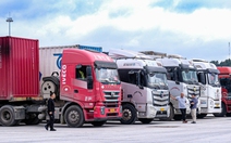 Ách tắc thực phẩm nhập khẩu: Doanh nghiệp đối mặt thiệt hại lớn