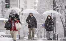 Hàn Quốc, Nhật Bản chật vật ứng phó bão tuyết