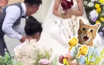 Nhờ cháu trai cầm nhẫn lên lễ đường chú rể bỗng dưng trở thành nam phụ