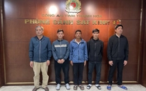 Khởi tố 5 người mua bán, vận chuyển heo bệnh dịch tả châu Phi