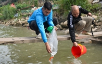 Thả cá chép không thả túi ni lông