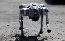 Chó robot sẽ hỗ trợ cảnh sát Mexico tại World Cup 2026