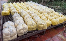 Hàng tấn riềng xay trộn chất gây ung thư: Chủ cơ sở làm riềng 'vàng đẹp, tươi lâu' thế nào?