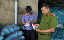 Khởi tố giám đốc công ty sản xuất hàng ngàn tấn muối iốt giả