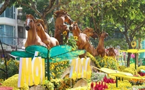 Ngắm đường hoa nghệ thuật Cần Thơ trước 'giờ G'