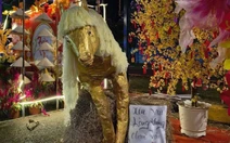 Linh vật ngựa khiến mạng xã hội gọi tên 'năm Bính Ngộ'