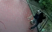 Kiếp nạn cây nêu